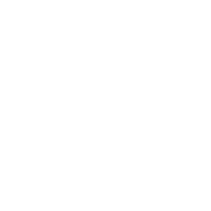Perplexity logo